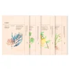 Ondo Beauty 36.5 Pack Cosmética|Piel Acneica|Beauty Masks Pack
