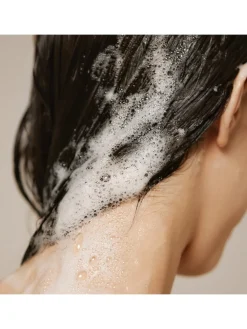 Aromatica Champú|Quinoa Protein Shampoo